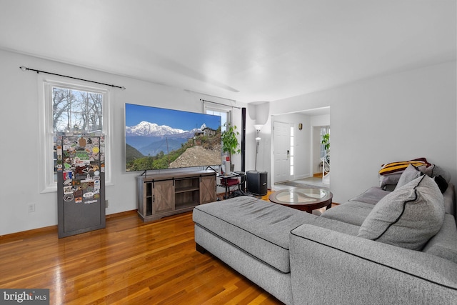 living room with hardwood / wood-style floors