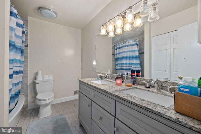 bathroom featuring vanity, toilet, and wood-type flooring