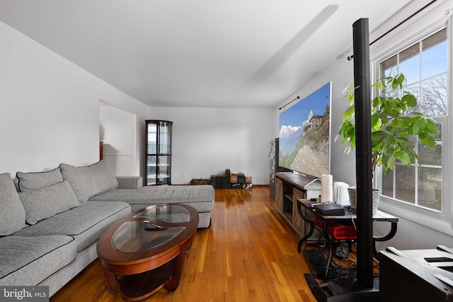 living room with hardwood / wood-style flooring and a healthy amount of sunlight