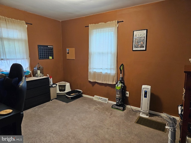 miscellaneous room featuring carpet floors and a wealth of natural light