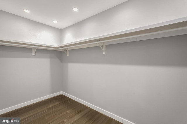 walk in closet featuring dark hardwood / wood-style floors