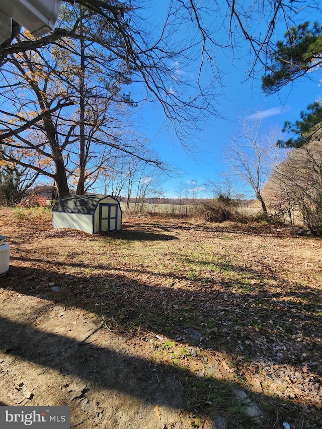 view of yard featuring a shed