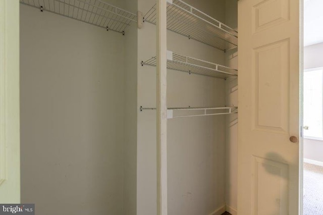 view of closet