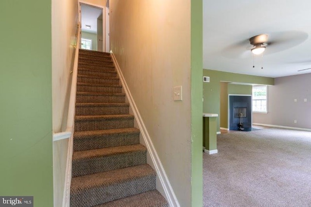 stairway featuring carpet flooring and ceiling fan