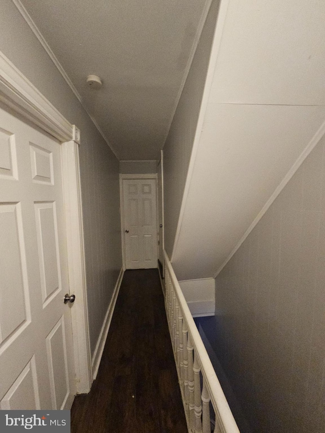 hallway featuring dark hardwood / wood-style floors and ornamental molding