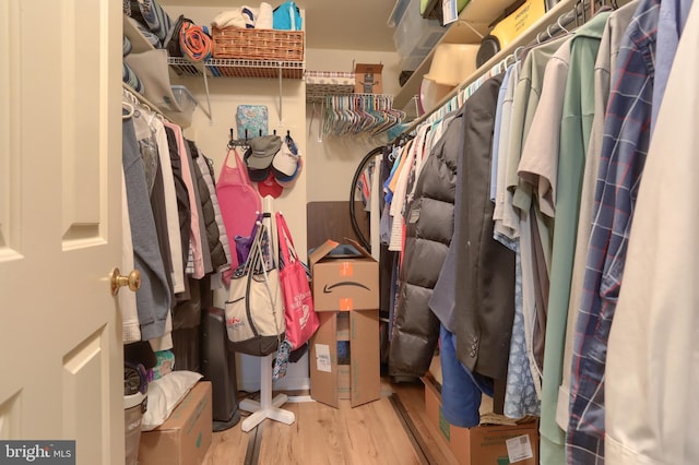 spacious closet featuring hardwood / wood-style flooring