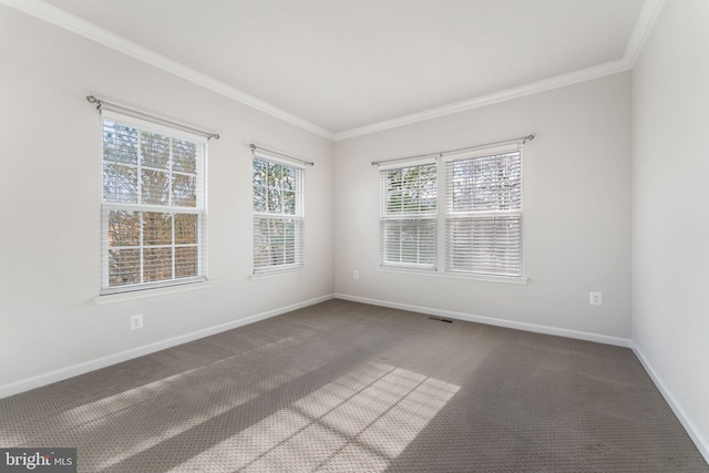 spare room with carpet flooring and crown molding