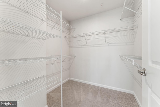 spacious closet with carpet floors