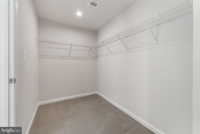 spacious closet with carpet