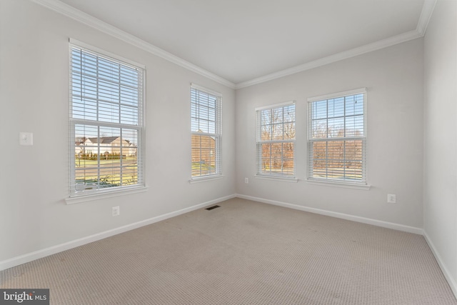 carpeted spare room featuring ornamental molding