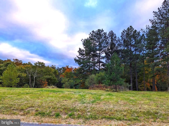 Listing photo 3 for LOT6 Fairview Oaks Ln, Berkeley Springs WV 25411