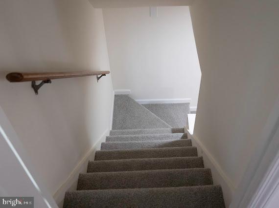 stairway featuring carpet flooring