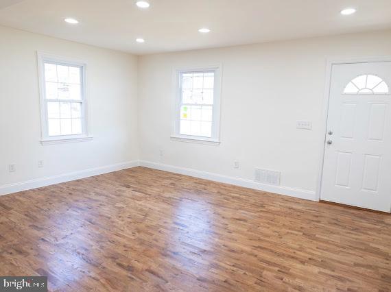 foyer with hardwood / wood-style flooring and a wealth of natural light