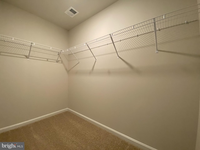 walk in closet with carpet