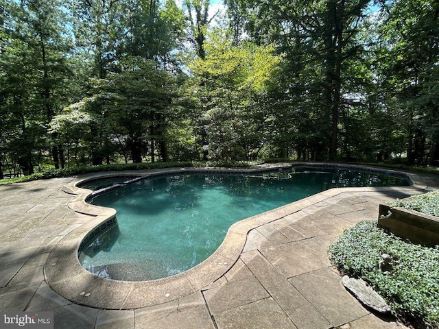 view of pool with a patio area