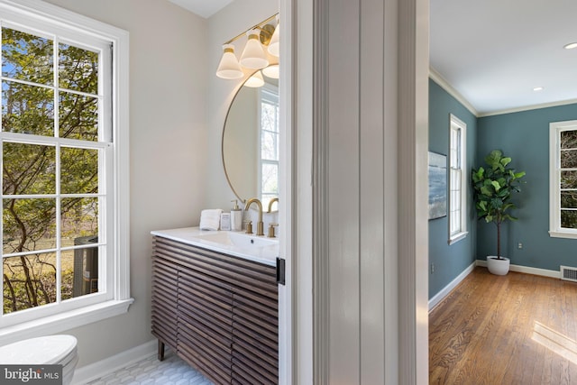 bathroom with vanity, plenty of natural light, and hardwood / wood-style floors