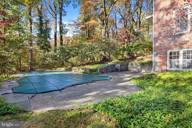 view of swimming pool featuring a patio