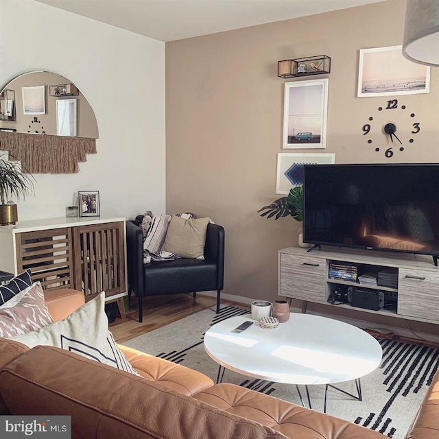 living room featuring light hardwood / wood-style flooring