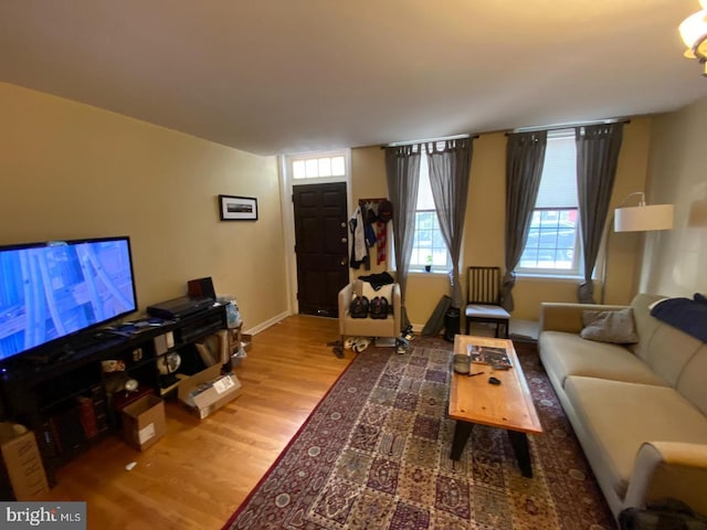 living room featuring wood-type flooring