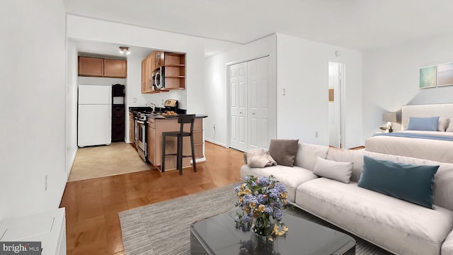 living room with light hardwood / wood-style floors