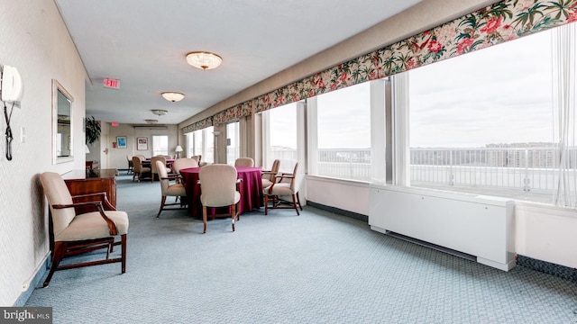 sunroom / solarium with radiator