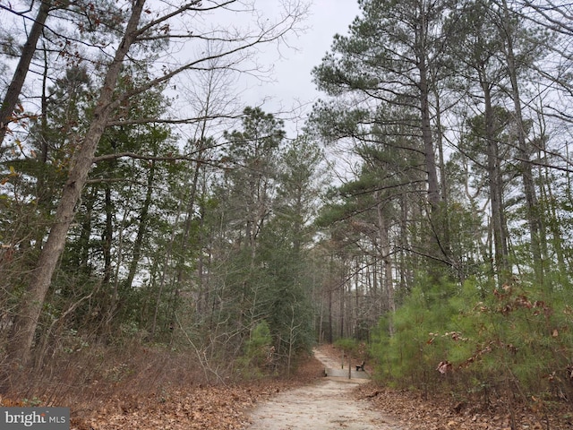 view of local wilderness