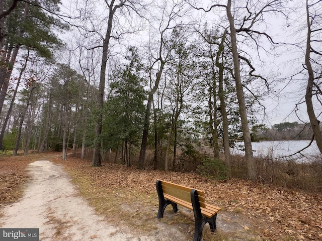 view of home's community with a water view