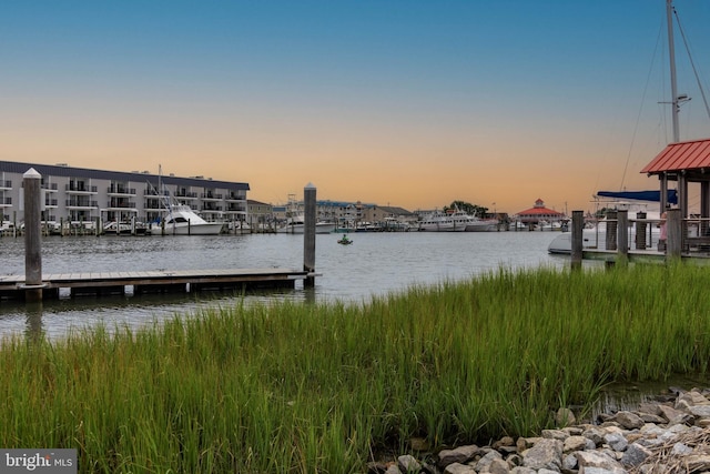 dock area with a water view