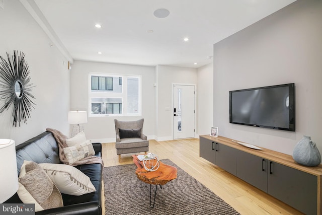 living room with light wood-type flooring