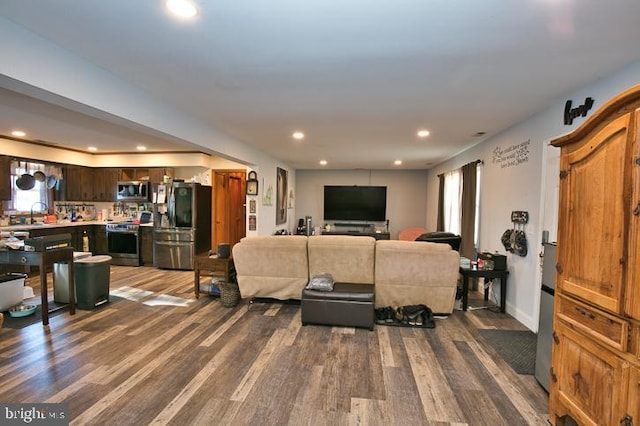 living room with dark hardwood / wood-style flooring and sink