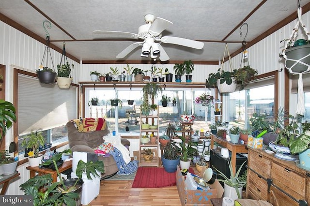 interior space with ceiling fan, a healthy amount of sunlight, light wood-type flooring, and crown molding