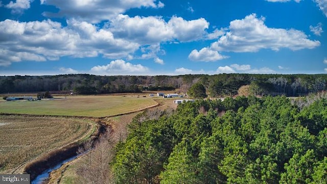 drone / aerial view featuring a rural view