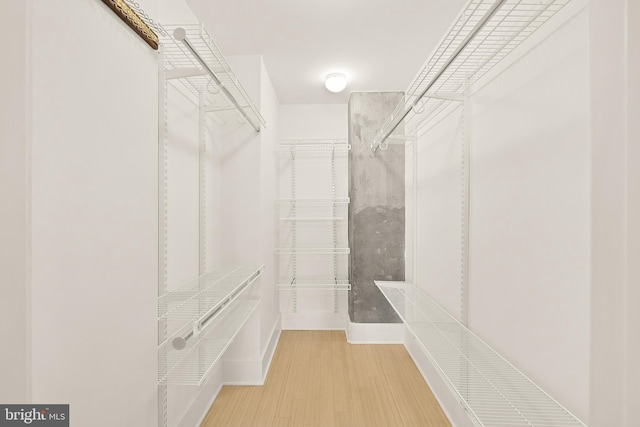 walk in closet featuring wood finished floors