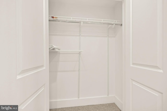 view of closet