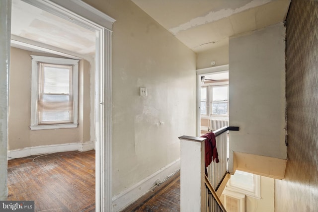 stairs with hardwood / wood-style floors