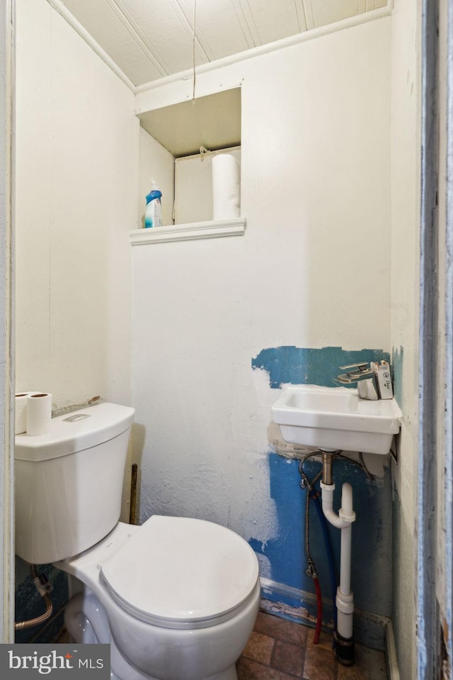 bathroom with sink and toilet