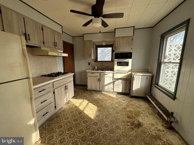 kitchen featuring appliances with stainless steel finishes, ceiling fan, plenty of natural light, and sink