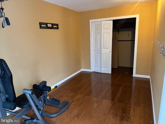 exercise room featuring dark hardwood / wood-style flooring