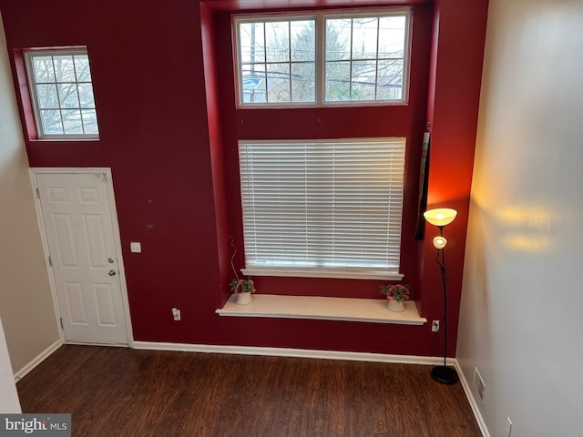 entryway featuring dark hardwood / wood-style flooring