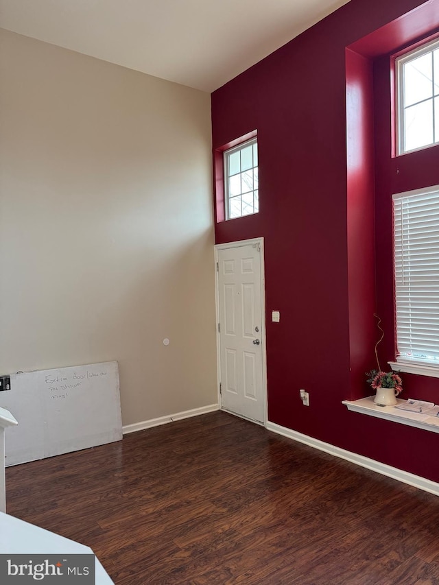 entryway featuring dark wood-type flooring and a wealth of natural light