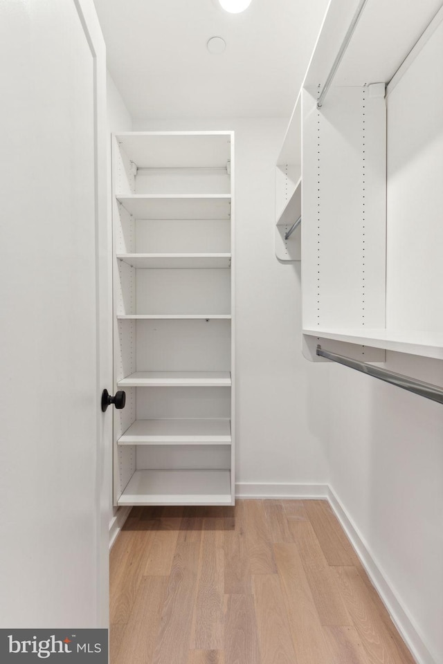 spacious closet featuring light hardwood / wood-style flooring