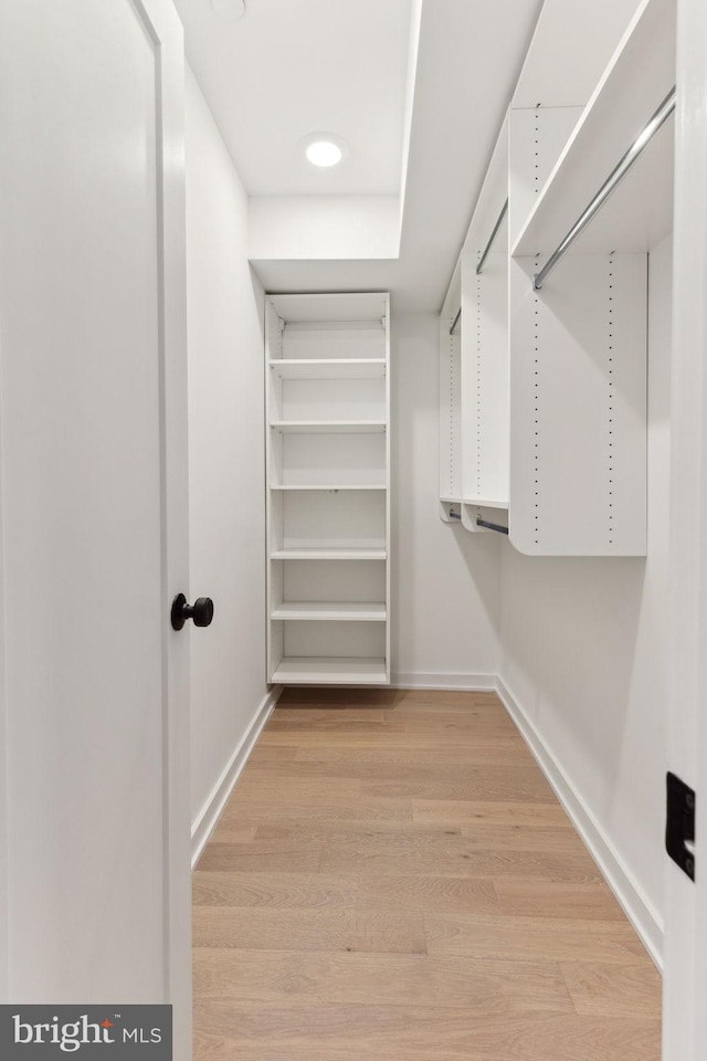 spacious closet featuring light hardwood / wood-style flooring