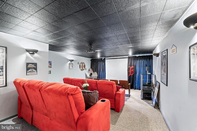 home theater room with carpet flooring