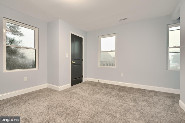 spare room featuring carpet and a wealth of natural light