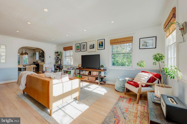 living room with crown molding and light hardwood / wood-style flooring