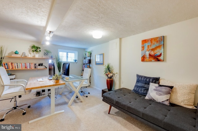 carpeted office with a textured ceiling