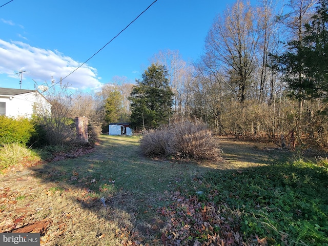 view of yard with a storage unit