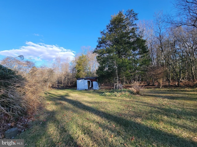 view of yard featuring a shed