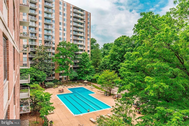 view of swimming pool with a patio