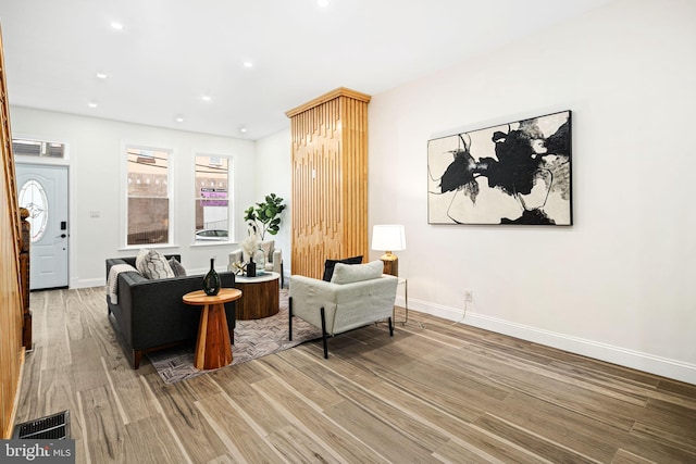 living room featuring wood-type flooring